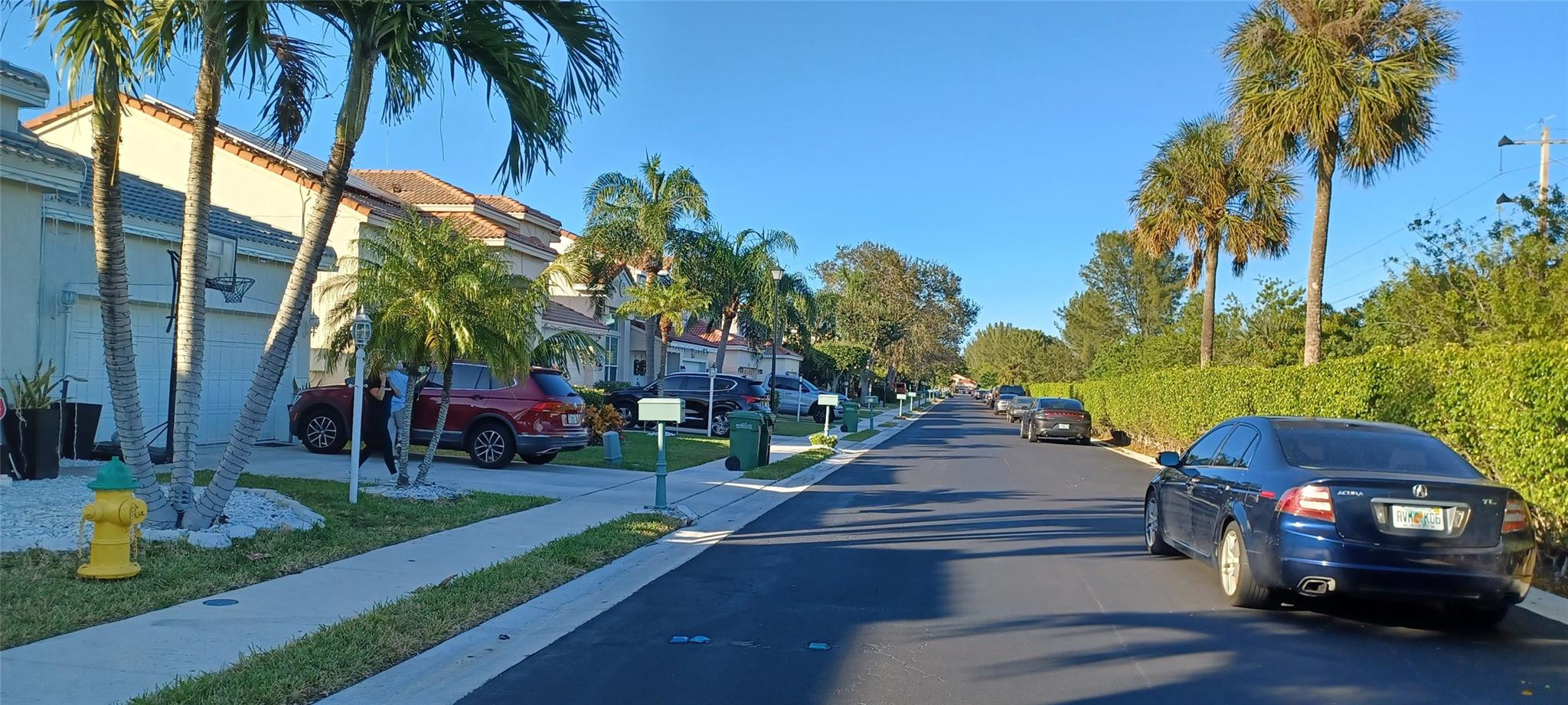 3071 Dogwood Lane