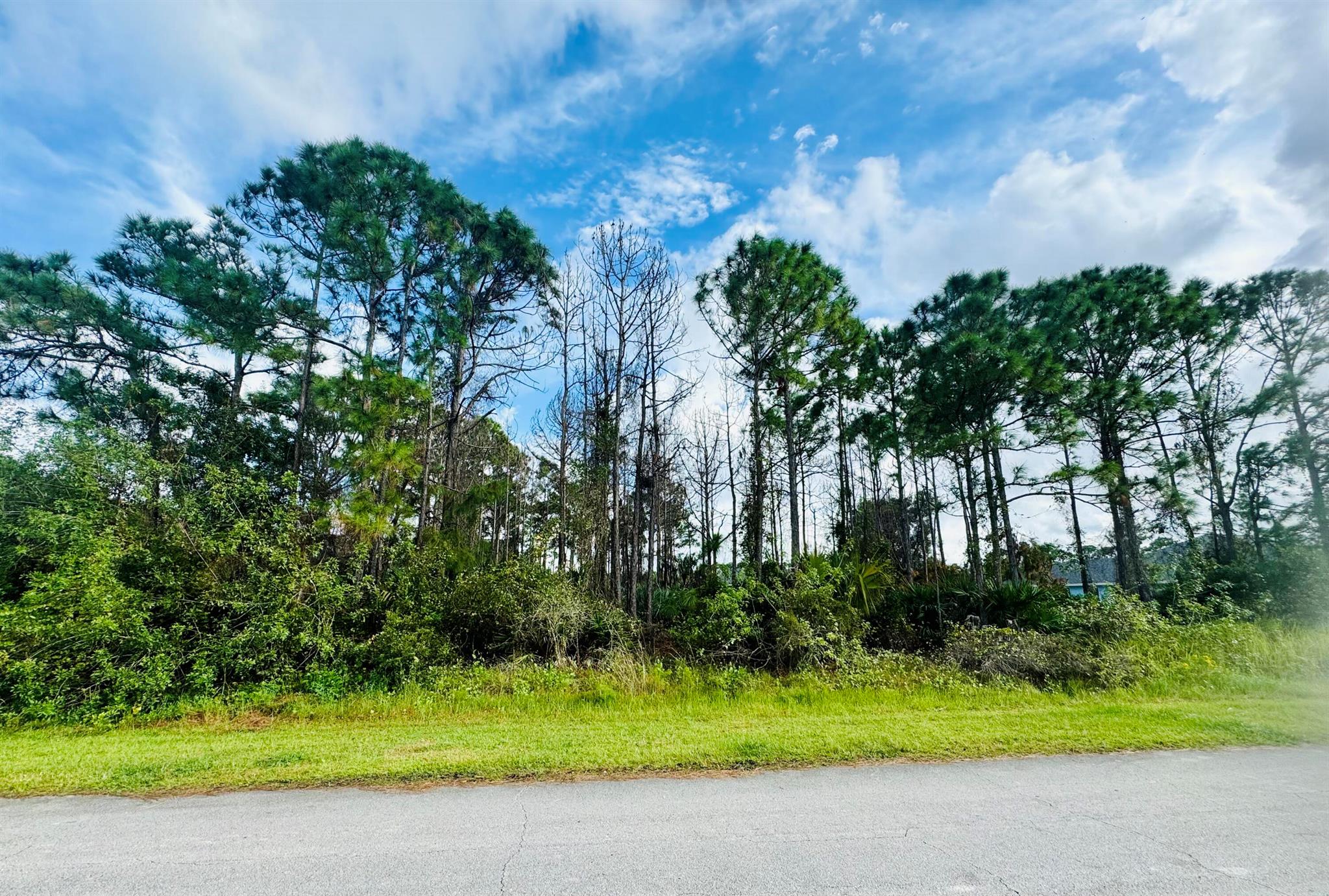 PORT ST LUCIE SECTION 46 - Land