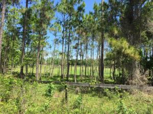 BANK-OWNED REO!!! BEAUTIFUL FIVE ACRE PARCEL IN PALM CITY FARMS. EXCELLENT LOCATION BETWEEN I-95 AND THE FLORIDA TURNPIKE JUST SOUTH OF MARTIN HIGHWAY.