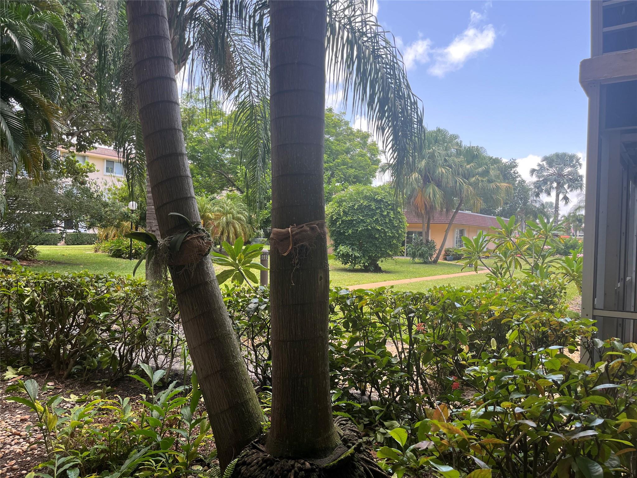 Lighthouse Point Plaza Co - Residential Lease