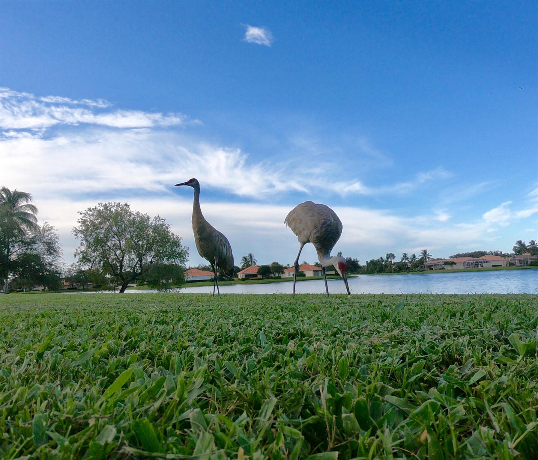 Riverwalk - Residential Lease
