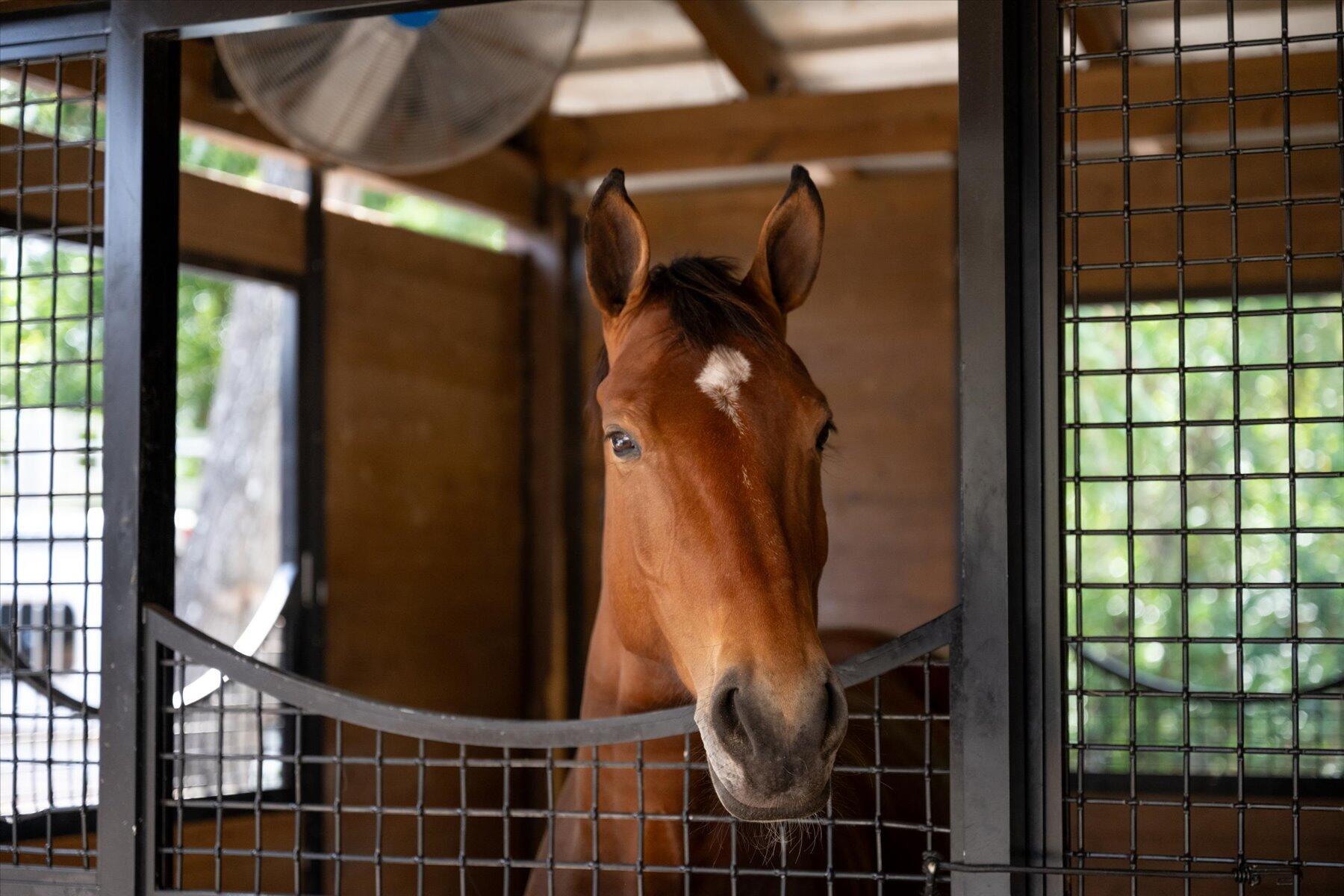 HOMELAND - Residential