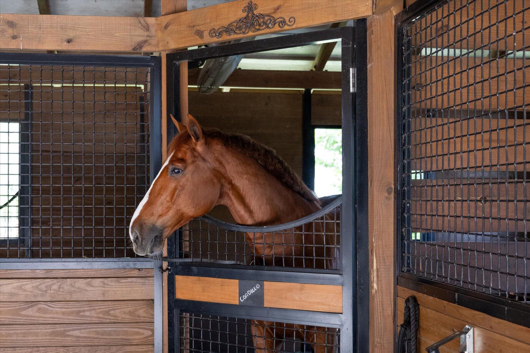 HOMELAND - Residential