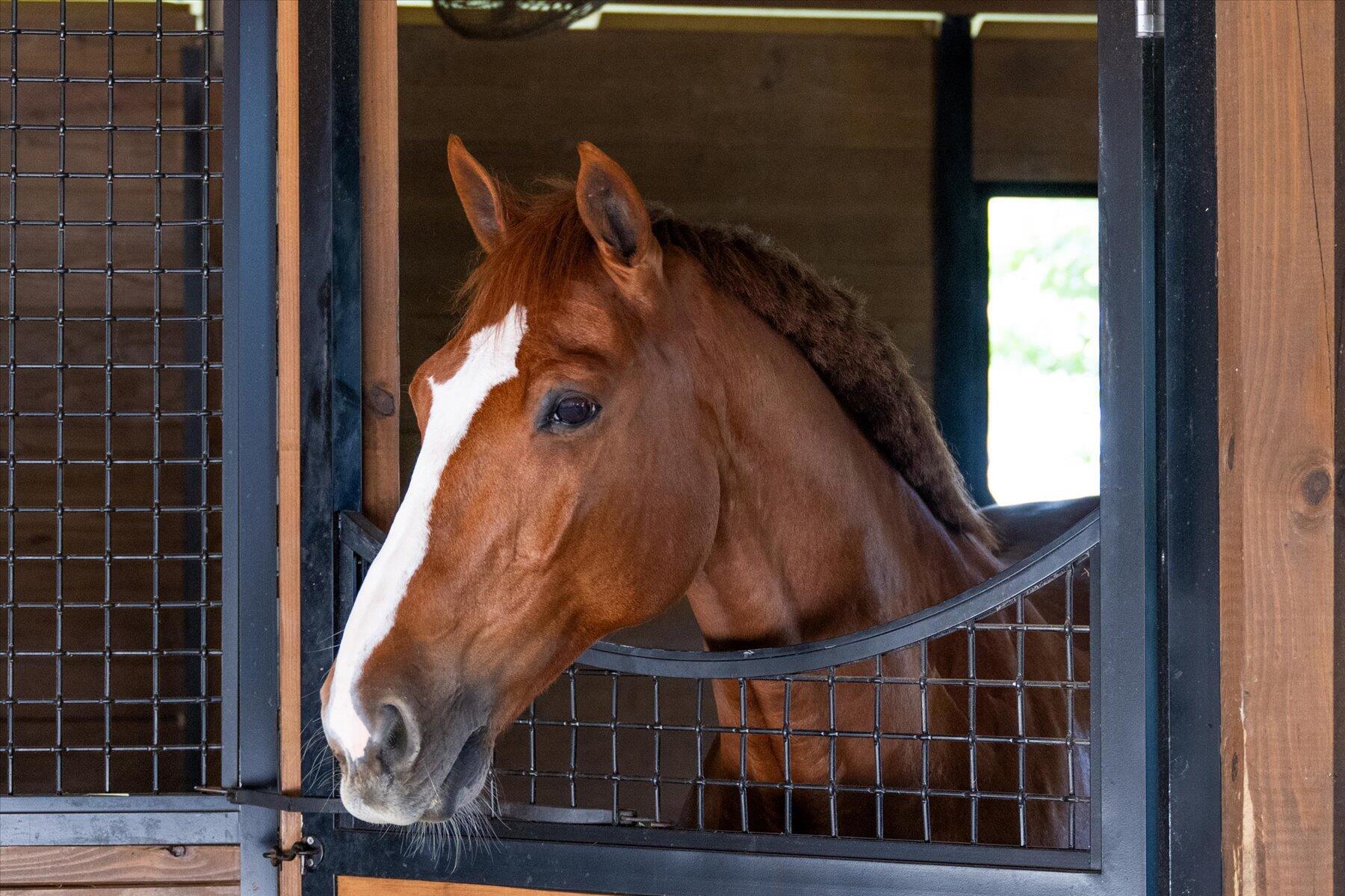 HOMELAND - Residential