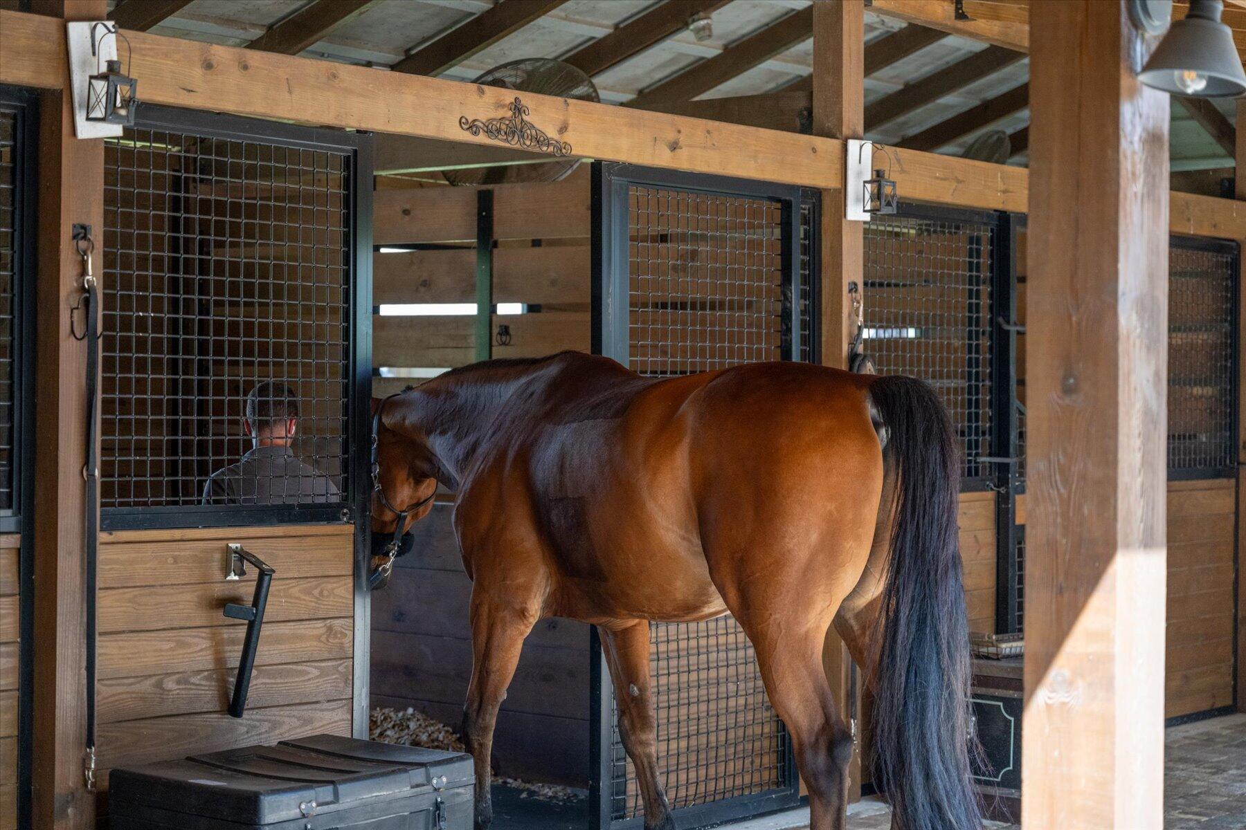 HOMELAND - Residential