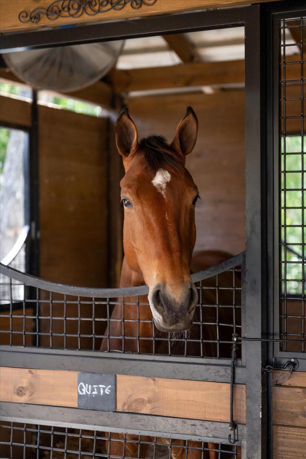 HOMELAND - Residential