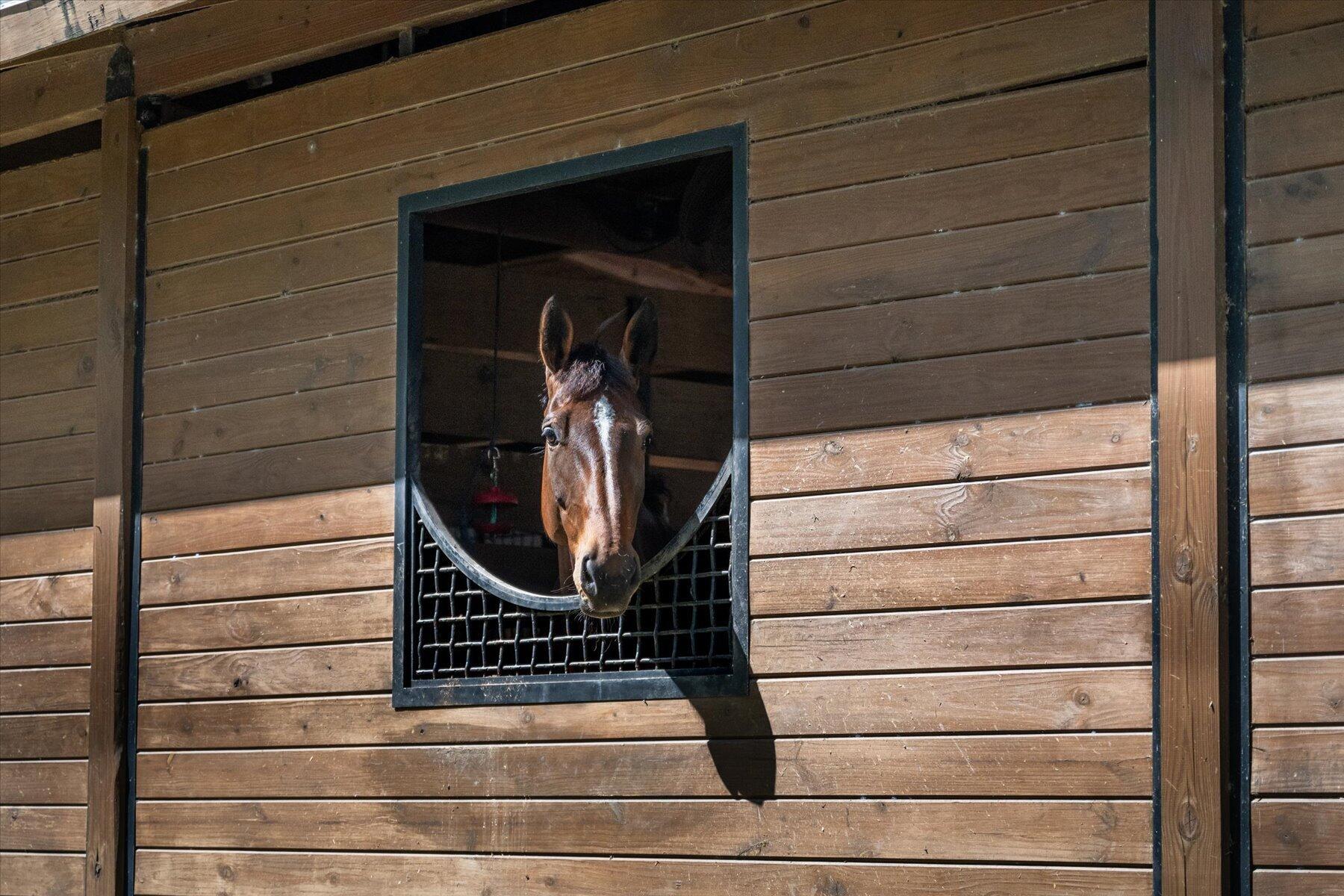 HOMELAND - Residential