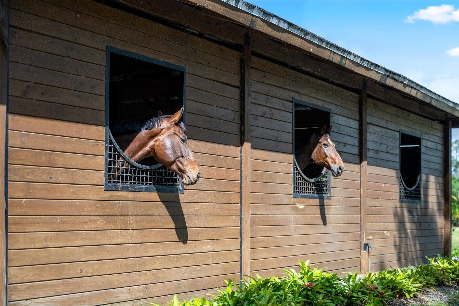 HOMELAND - Residential