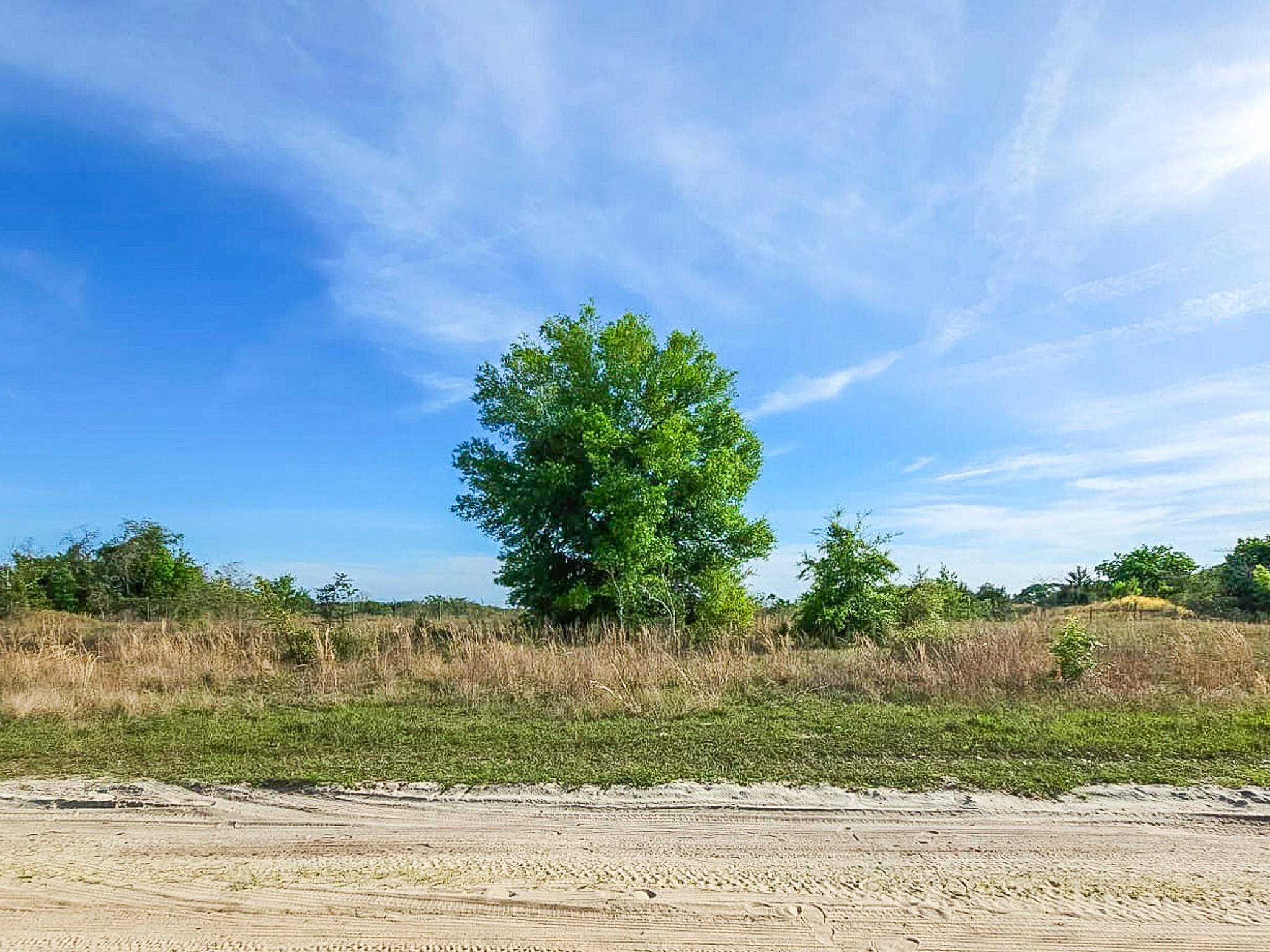 Lake Weir Heights - Land