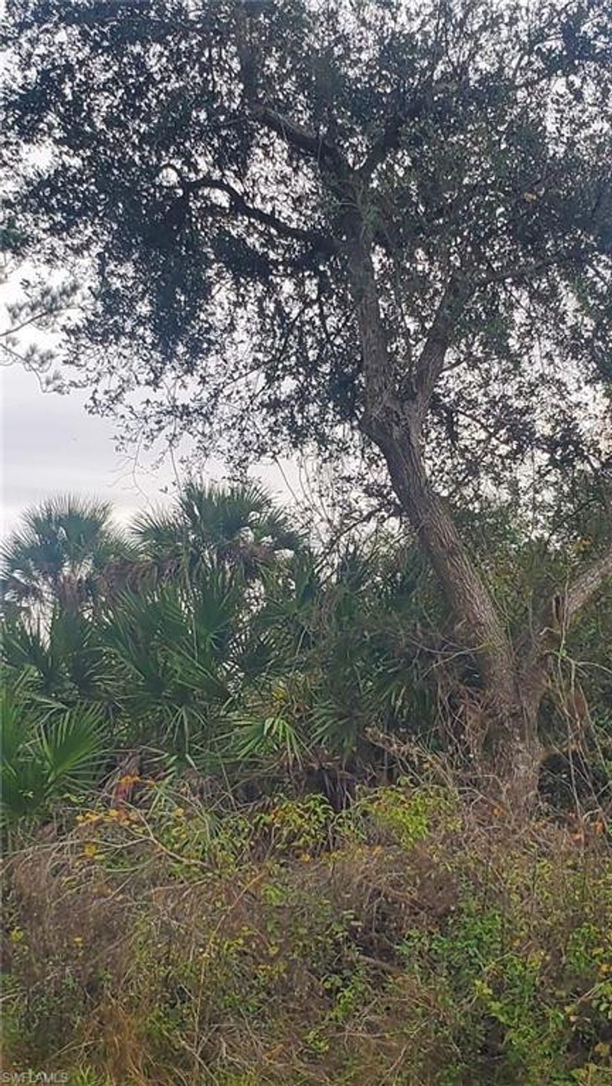 Beautiful 0.26 acre lot in Banyan Village, a community in Labelle, Hendry County. The lot is easy to clean. It is a dry, high terrain. Accessibility to electricity is excellent, as it is very close to the electric pole. Banyan Village is a planned single-family home community with around 4,000 residential lots. Located a few miles east of the town of LaBelle, Banyan Village combines "old Florida charm" with abundant outdoor recreation. It is centrally located to access the heart of Florida and both coasts. Excellent land to build the home of your dreams, or undertake a new project in this growing community.