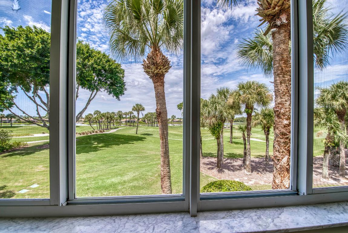 Ibis Golf & Country Club - Orchid Hammock - Residential