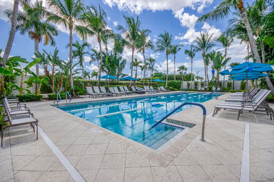 Ibis Golf & Country Club - Orchid Hammock - Residential
