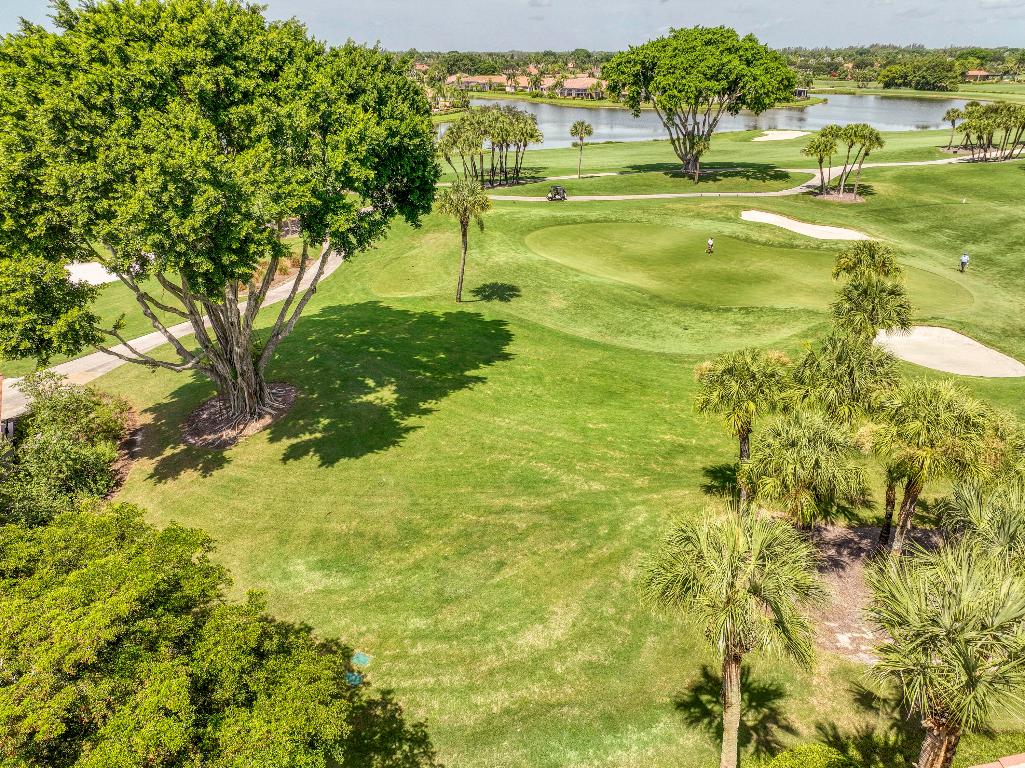 Ibis Golf & Country Club - Orchid Hammock - Residential
