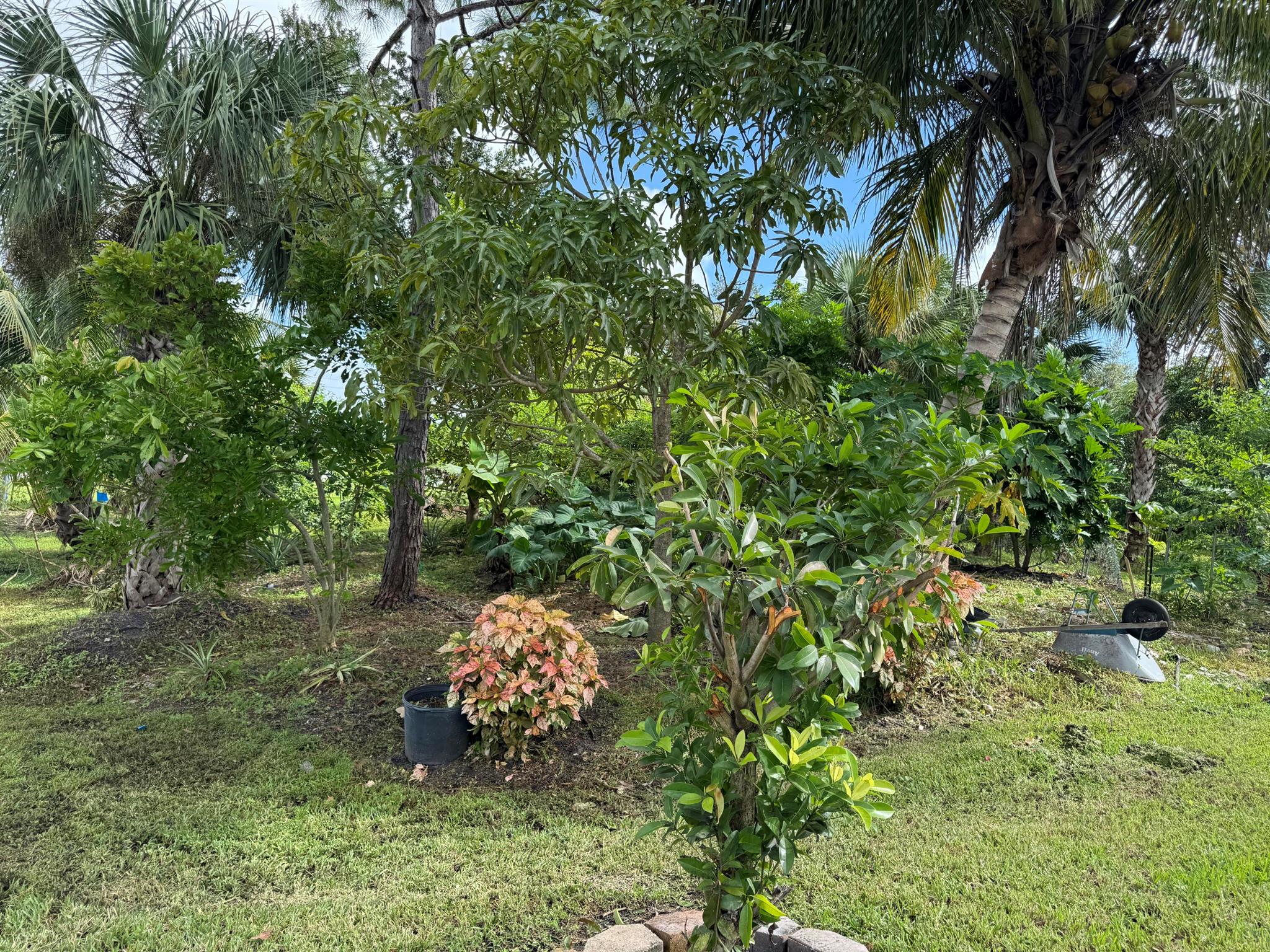 PORT ST LUCIE SECTION 14 - Residential