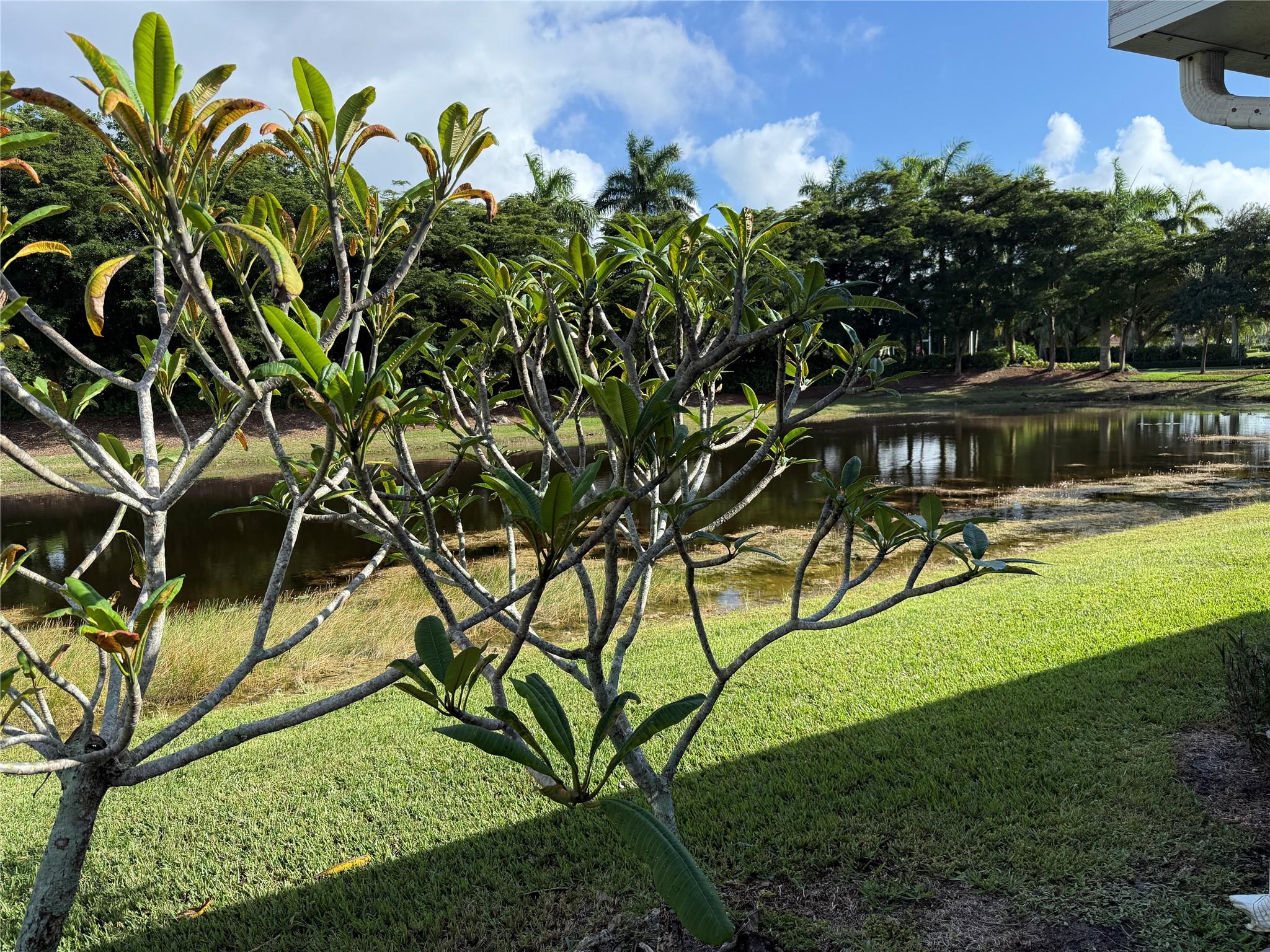 THE HAMMOCKS - Residential