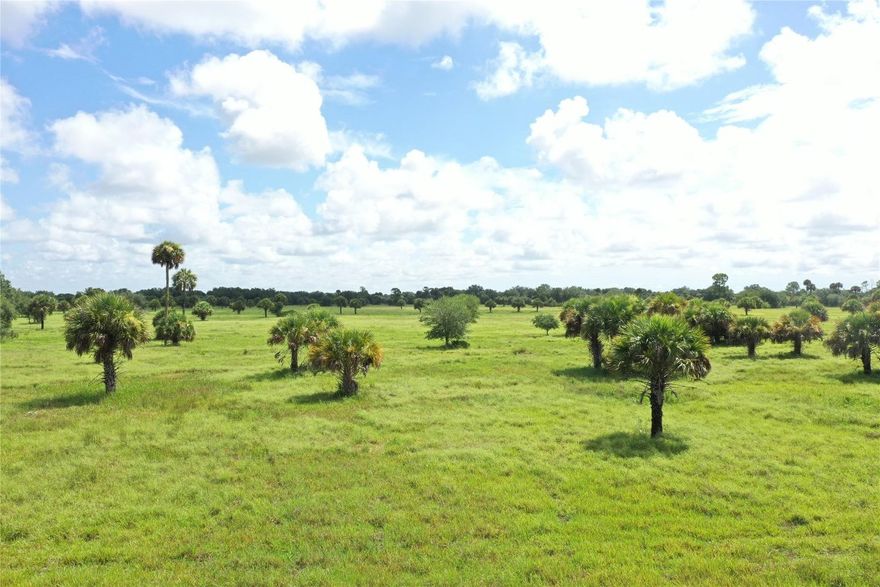 Part of Ben Hill Griffins personal hunting area when he owned Alico this gorgeous 1500 acres could be yours. This property is truly a piece of old Florida. It has pastures, oak hammocks, and palm stands. Abundant wildlife including white tail deer, Osceola turkeys, and quail. This property is currently being used for a personal retreat and cattle. New Fencing! New Shell Rock Road! No conservation easements but state agreeable to conservation on this property due to being part of the panther corridor. Hard to find unspoiled property with other large acreage as neighbors. Call today!