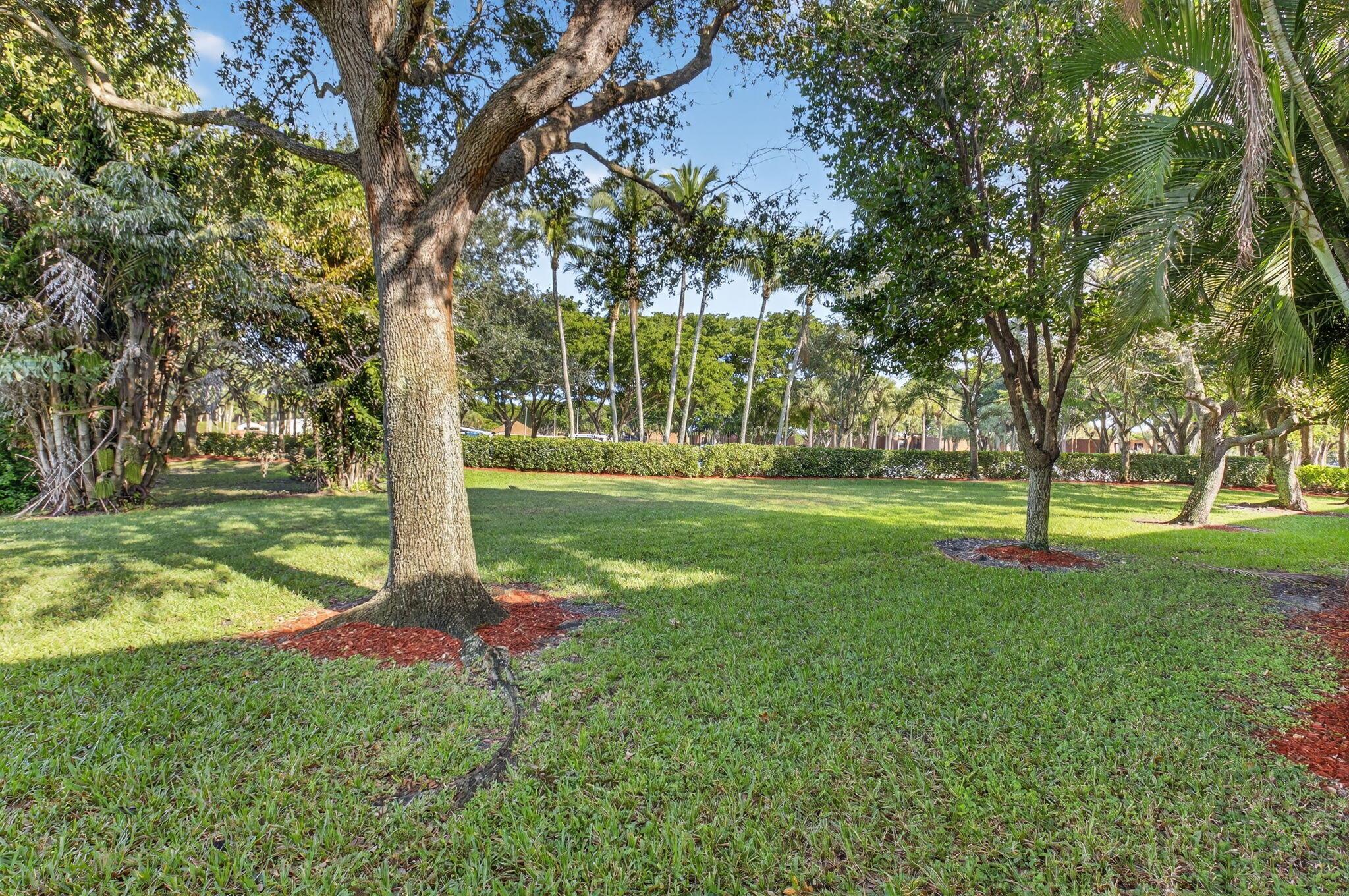 MELEAR /SAN SAVINO - Residential Lease