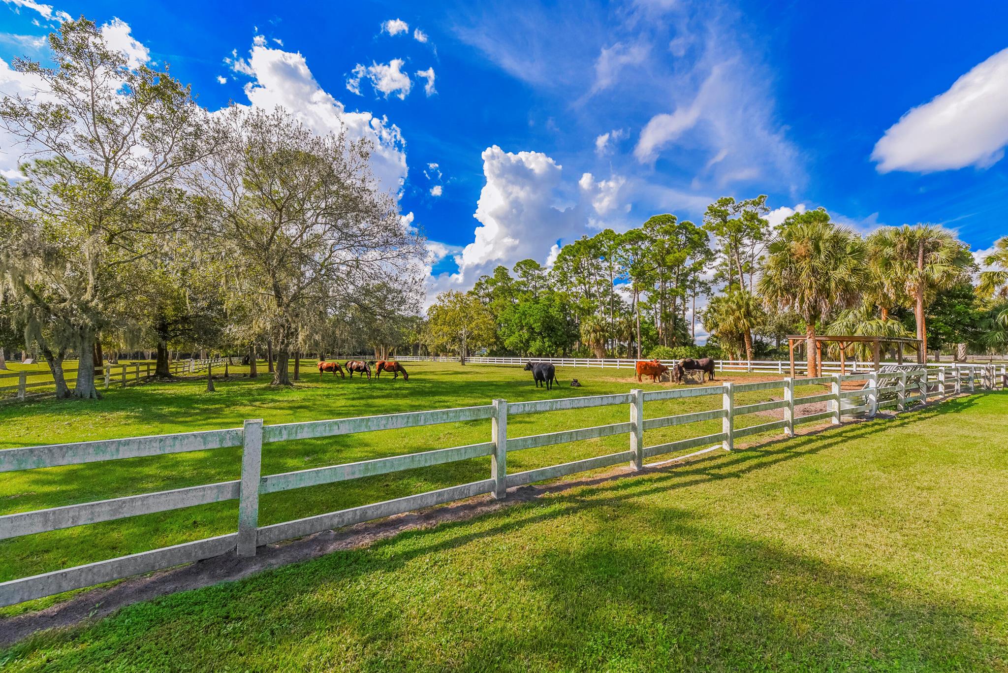 Palm City Farms - Residential