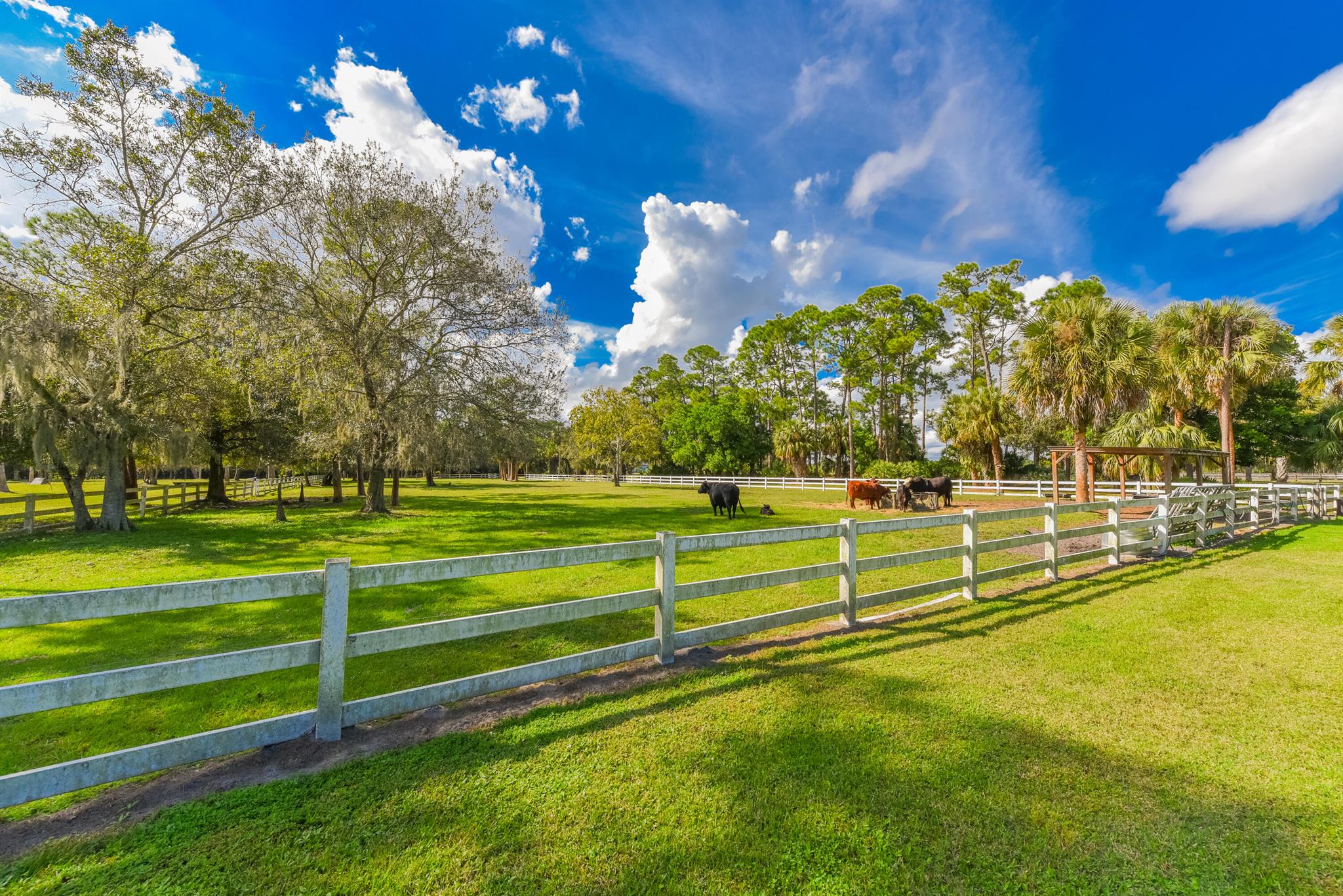 Palm City Farms - Residential