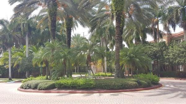 Carrington At Coconut Cre - Residential Lease