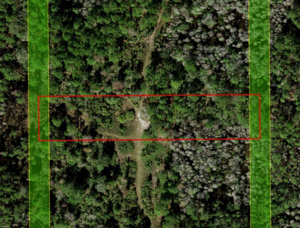 Opp107 Orlando Pines - Land