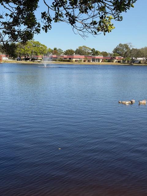 COVERED BRIDGE CONDO - Residential