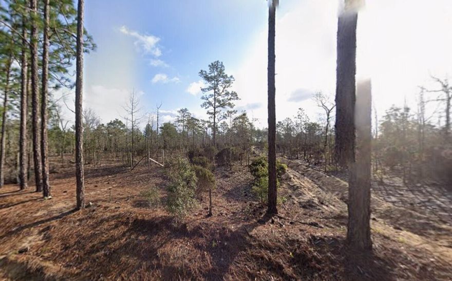 Zoned R-2 - Owner Financing available with $1,500 down! - Multi-Lot Packages Available! Zoned R-2 -Zoning Flexibility - Fantastic opportunity to own a 0.24-acre lot in Interlachen Villas. Zoned to allow tiny homes, mobile homes, modular, and site-built residences of any size, giving you full freedom to build. Owner financing is available, and the seller owns multiple lots across Putnam County--perfect for investors or developers seeking package deals. Surrounded by lakes and natural beauty with easy access to Palatka, Gainesville, and Ocala. A great investment or future homesite in a growing area! for directional purposes use 103 Tulip