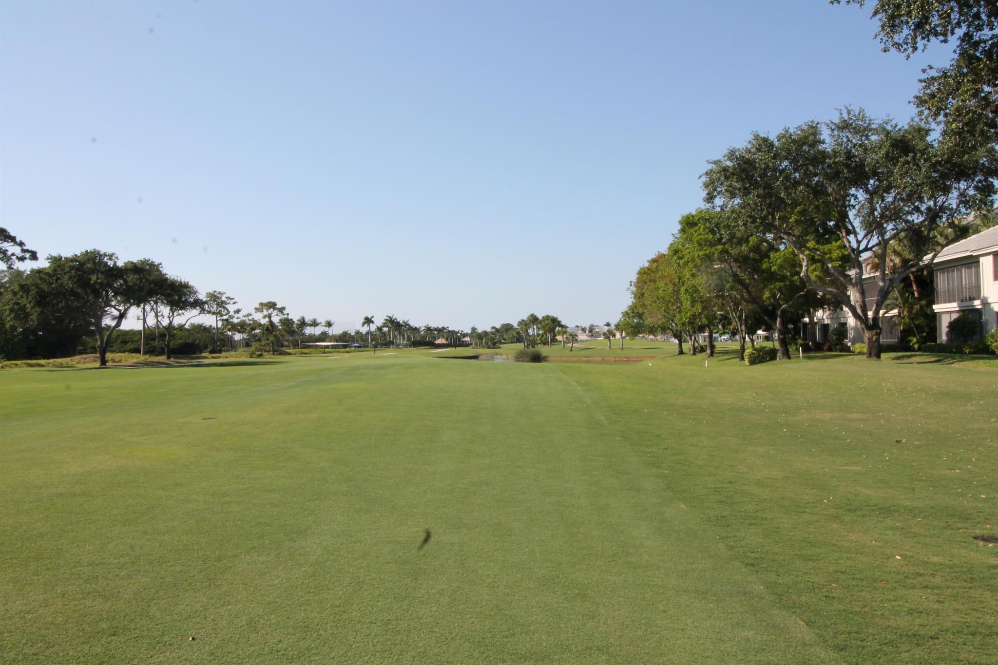 ASHBOURNE / POLO CLUB - Residential