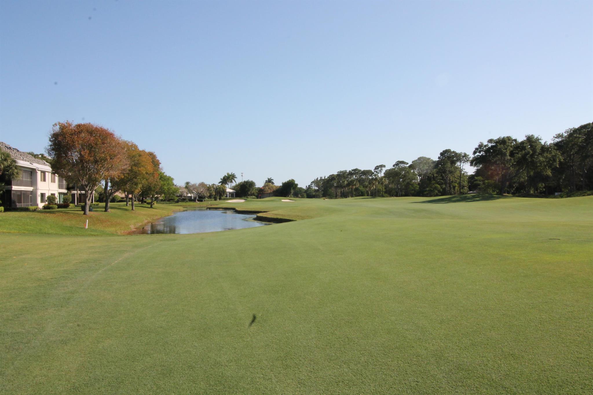 ASHBOURNE / POLO CLUB - Residential