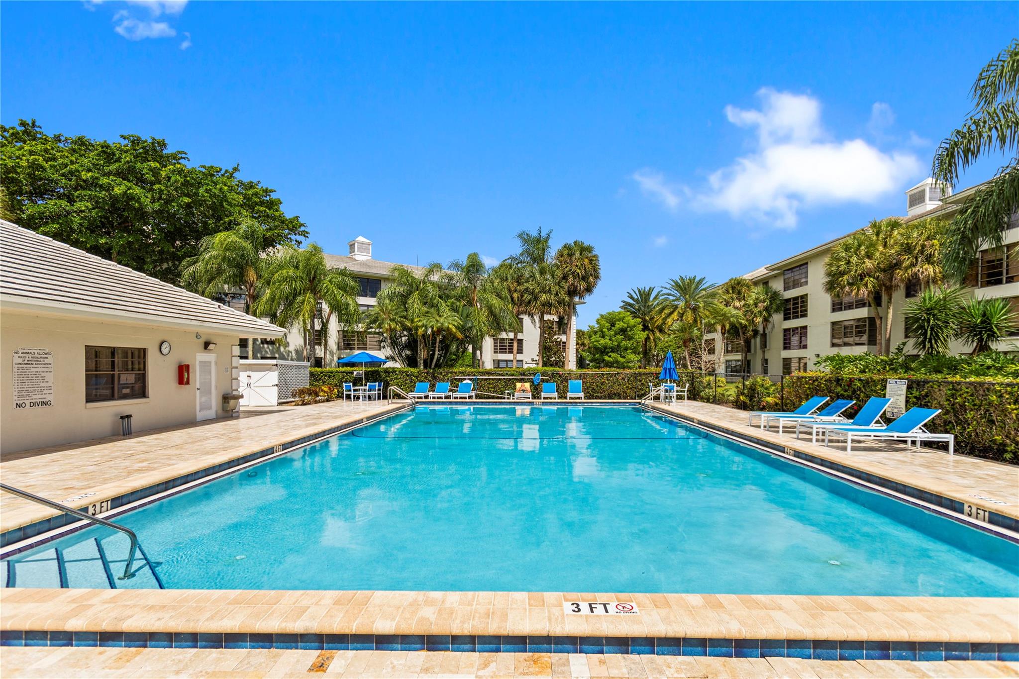 Condo 19 Of Whitehall Con - Residential Lease