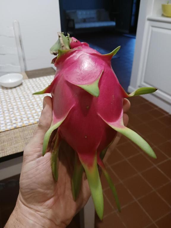 LOXAHATCHEE GROVES IN - Residential