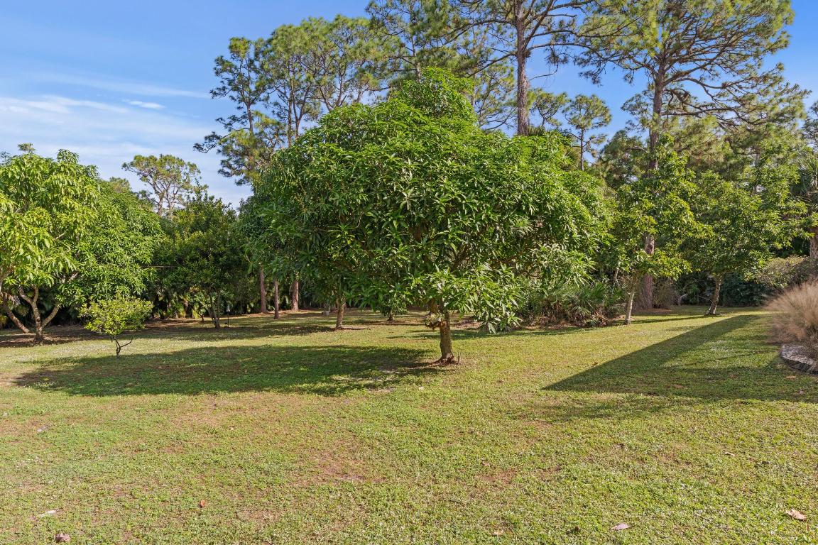 LOXAHATCHEE GROVES IN - Residential