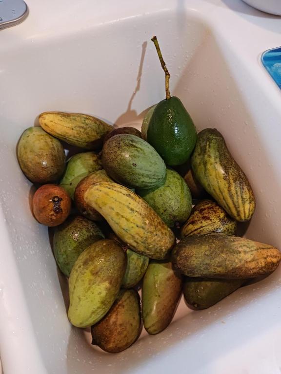 LOXAHATCHEE GROVES IN - Residential