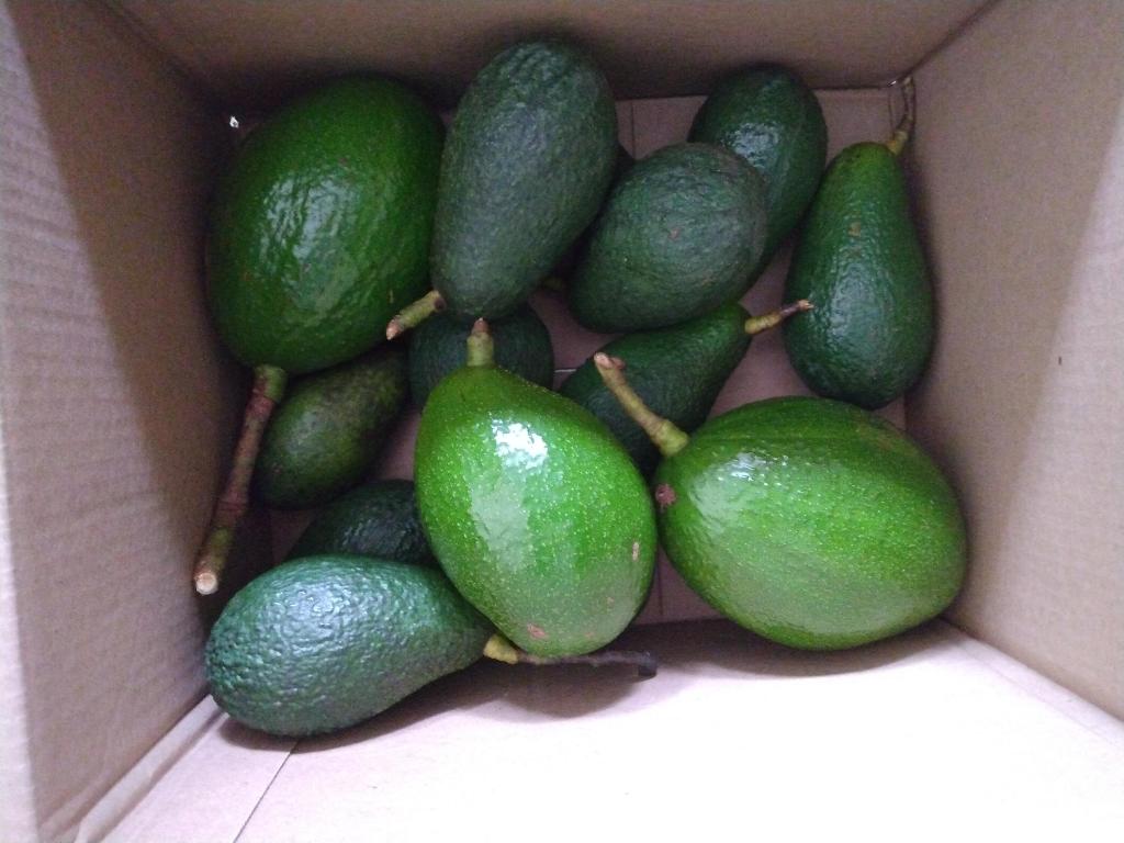 LOXAHATCHEE GROVES IN - Residential