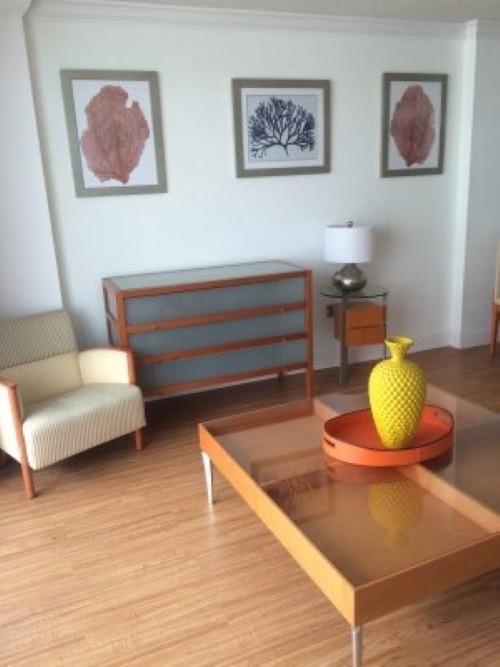 THE PRESIDENTIAL CONDO - Residential Lease