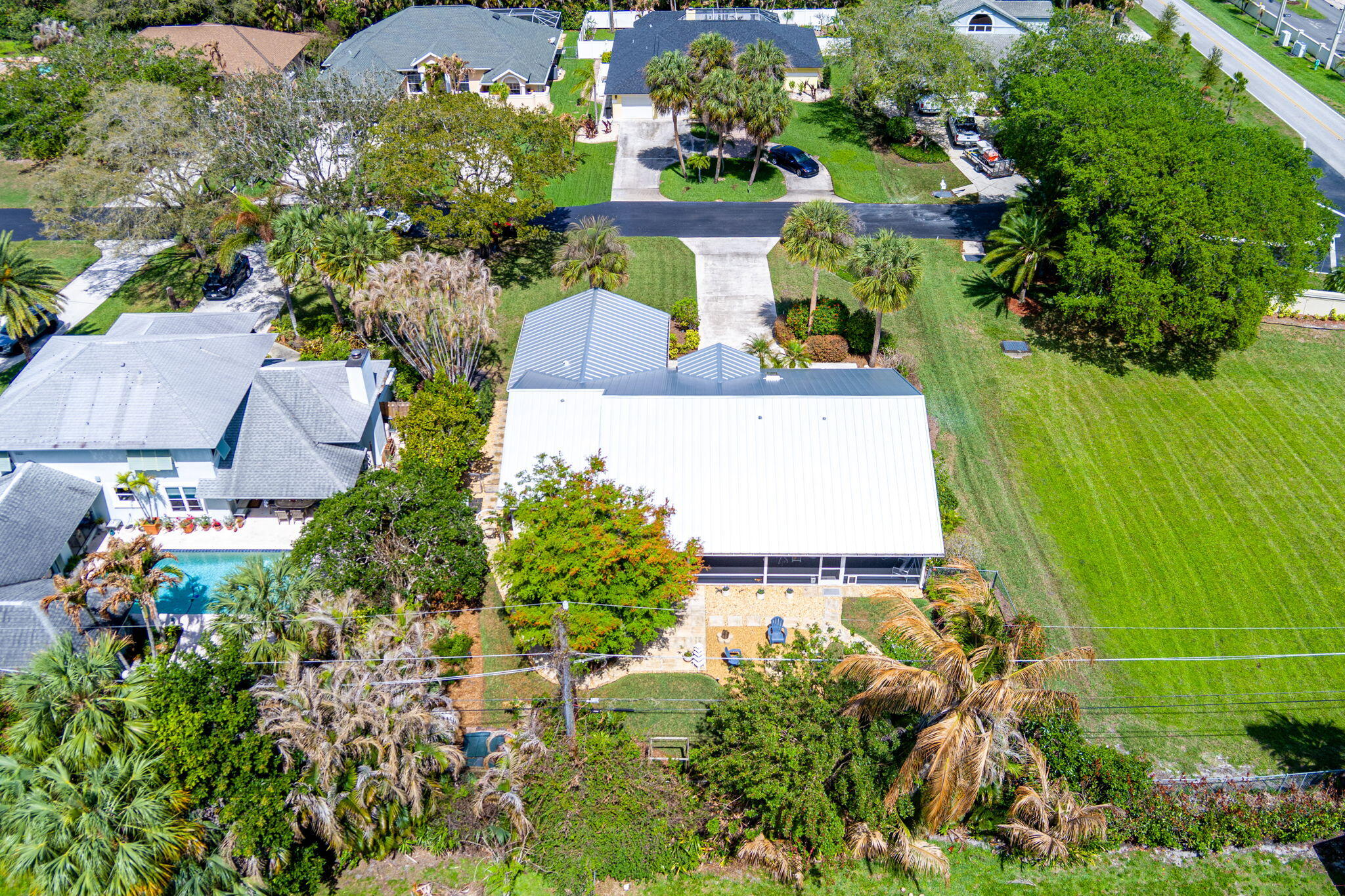 PINE TREE TERRACE - Residential