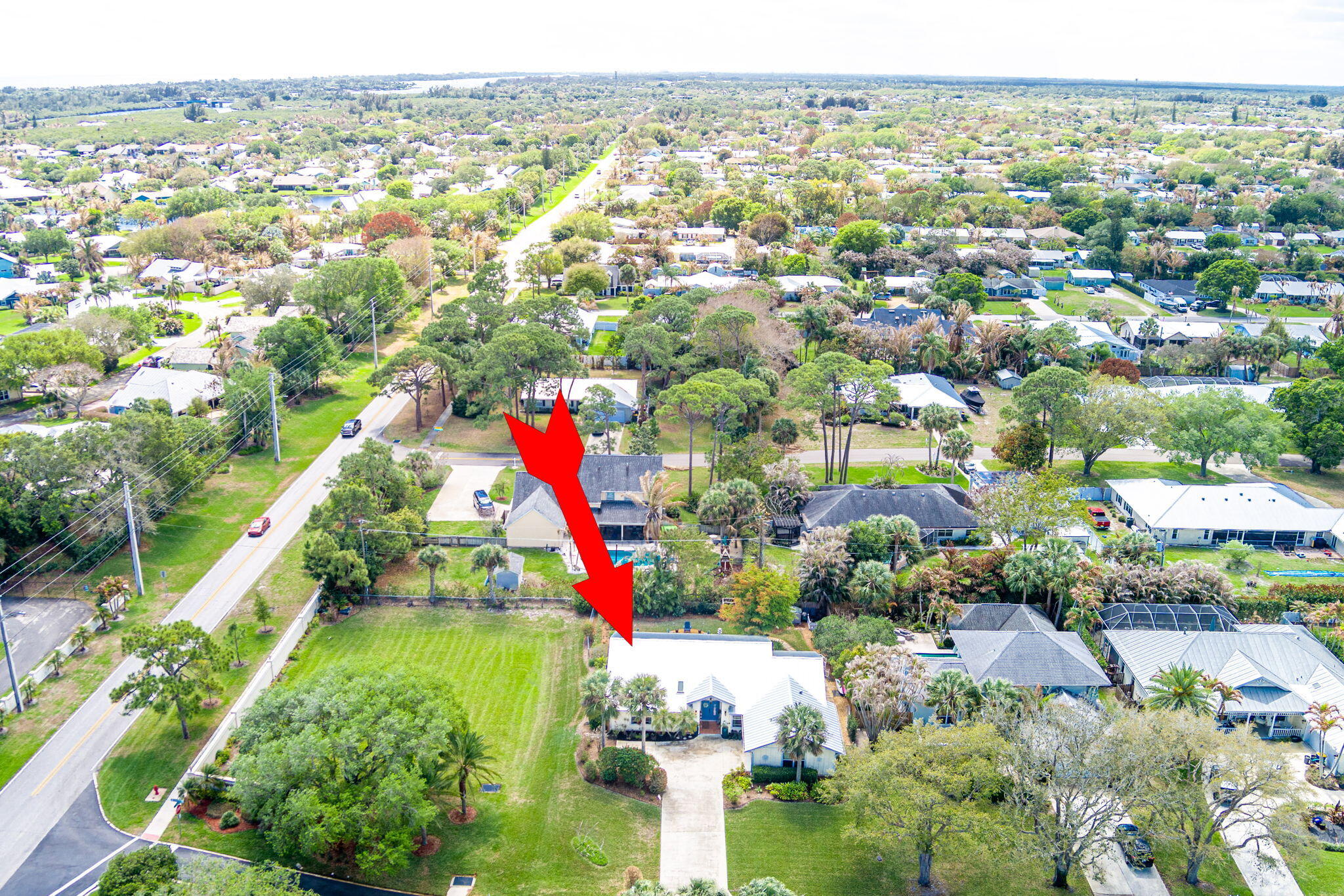 PINE TREE TERRACE - Residential