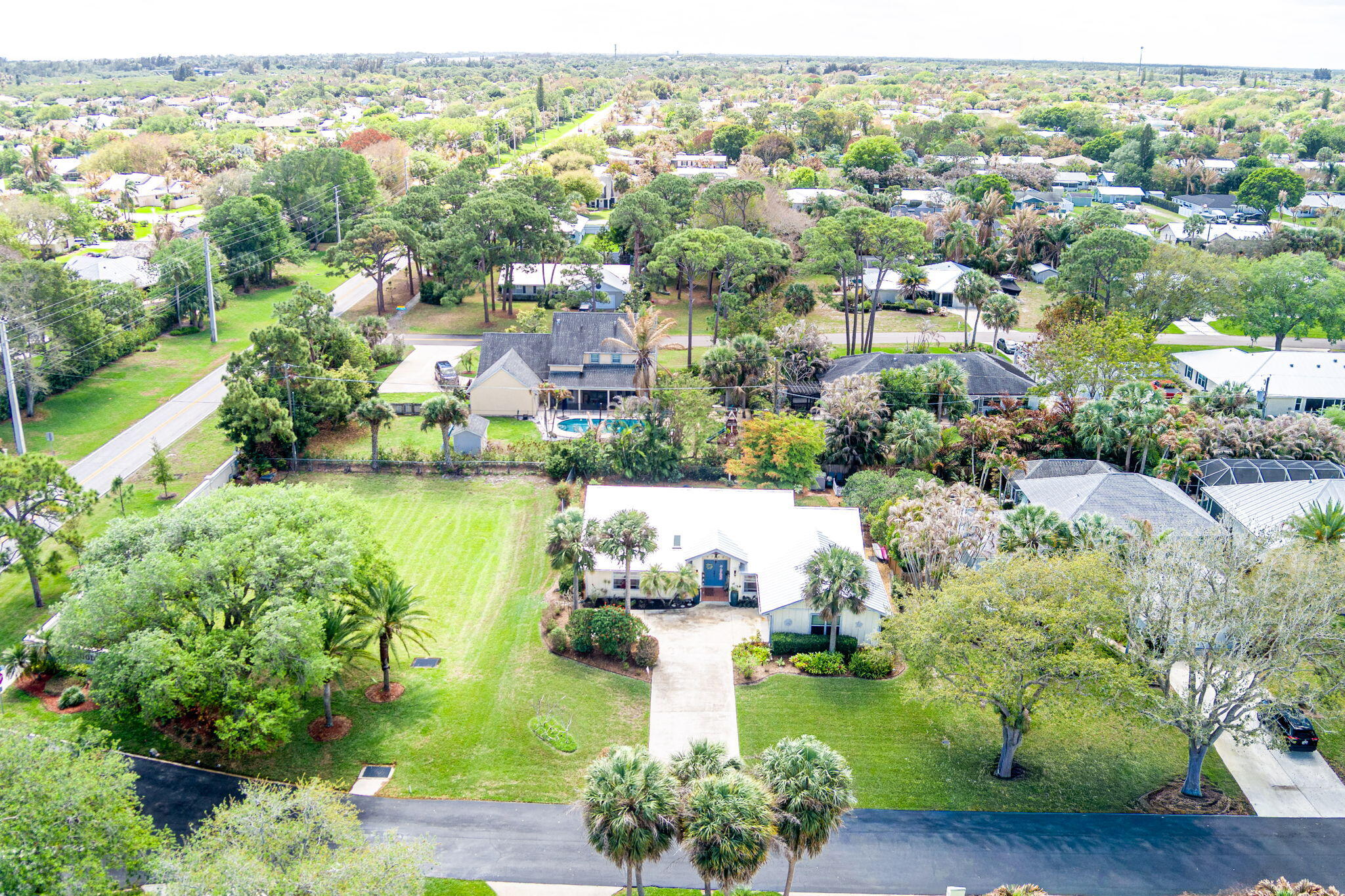 PINE TREE TERRACE - Residential