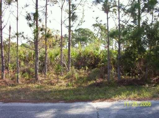 PRICED TO SELL!! BUILDABLE LOT FOR A DREAM HOME. PLENTY OF NEW HOMES BUILT IN SAME AREA. LOCATED MINUTES FROM BAYSIDE AREA. SCHOOLS AND PLENTY SHOPS NEAR BY. BEST PRICE IN THIS LOCATION. SELLER IS WILLING TO ASSIST BUYER WITH CLOSING COST, SO HURRY! OFFERS ARE WELCOME.