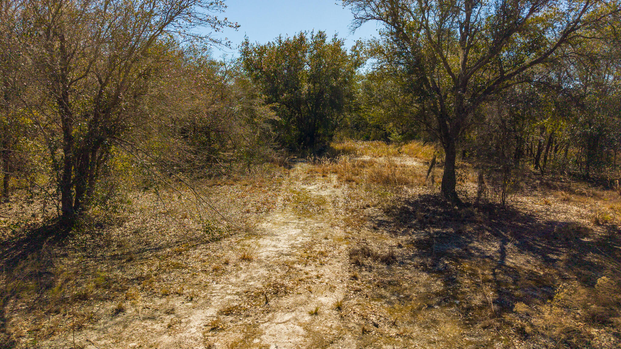 SOUTHERN COLONIZATION COMPANY PLAT - Land