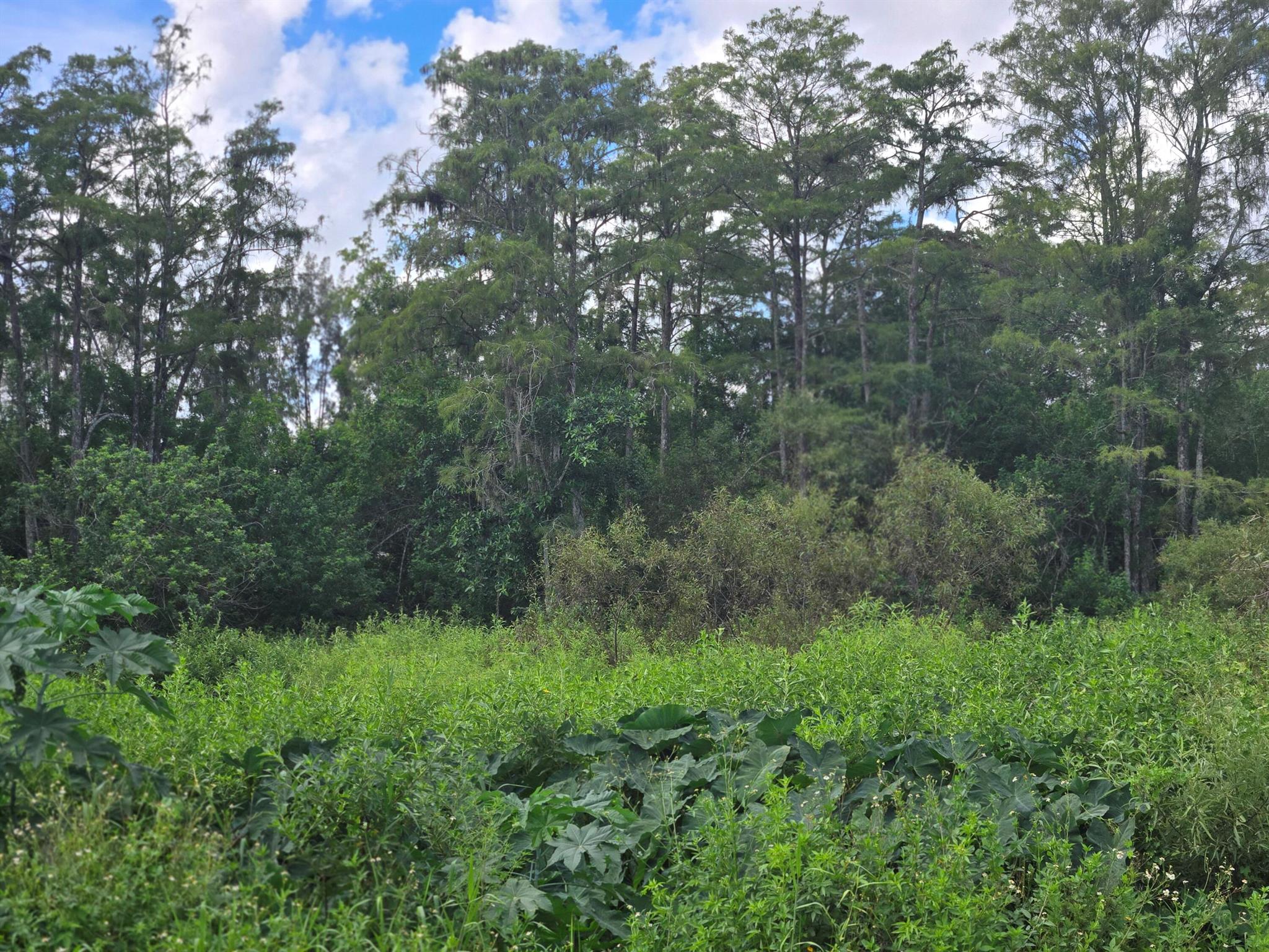 Great opportunity to own land in a growing neighborhood. The area is surrounded by new development, shopping, dining, excellent schools, and a nearby hospital. This location offers both convenience and value and is an ideal spot to build your dream home or investment property.
