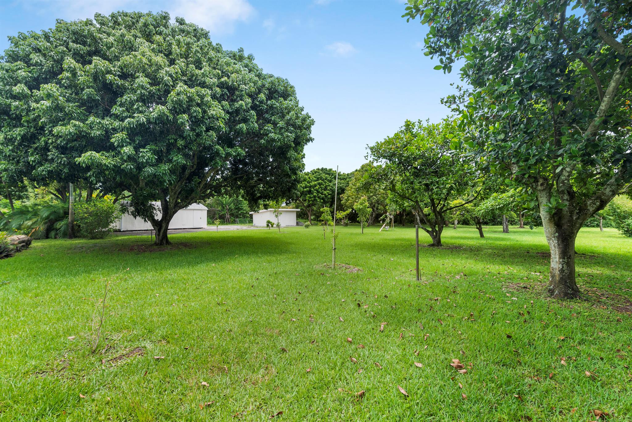 Palm Beach Farms - Residential