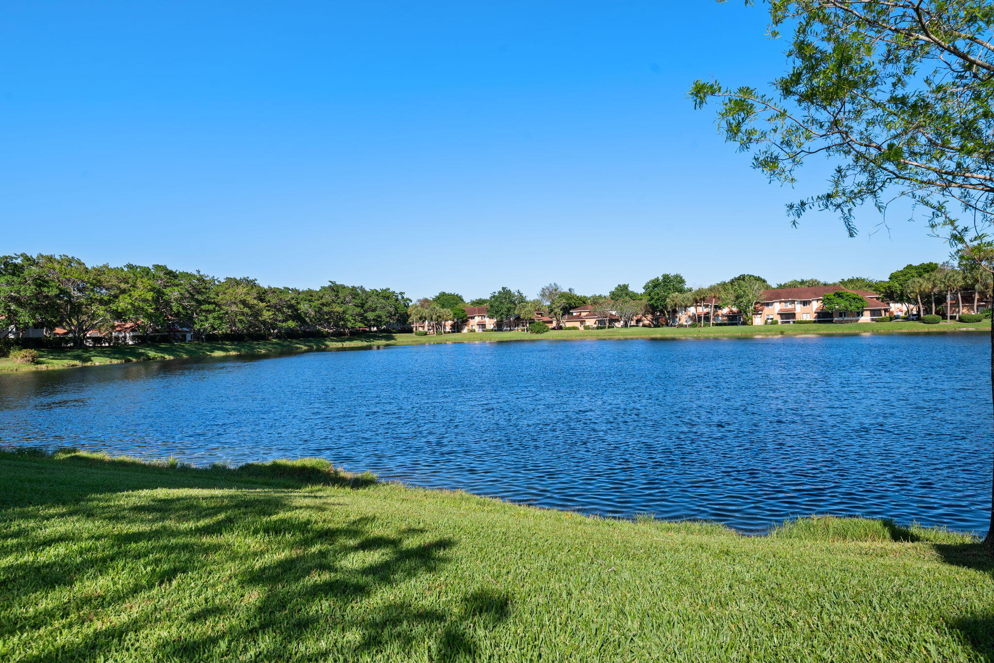 COLONNADES CONDO - Residential