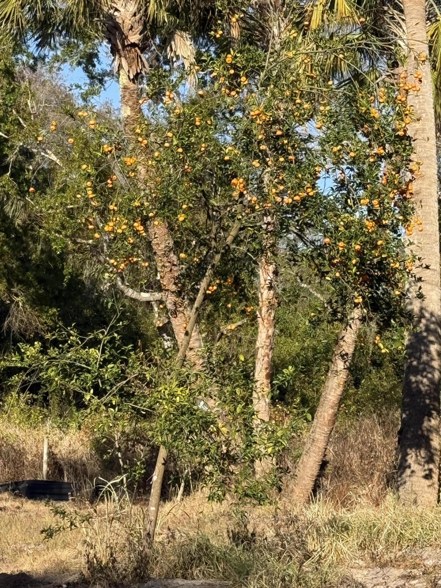 Cabo Rio, RV Resort - Land