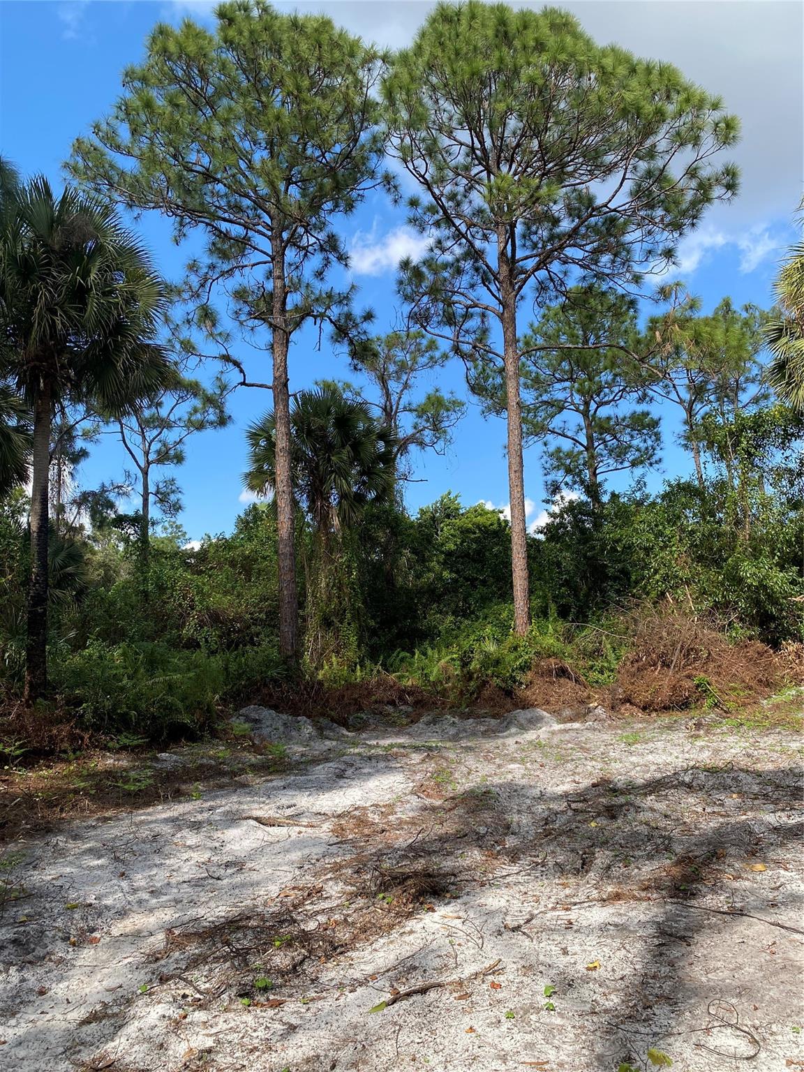 Acreage - Land