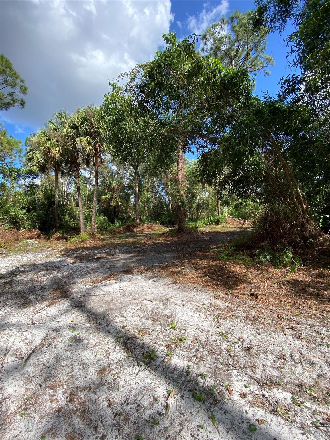 Acreage - Land