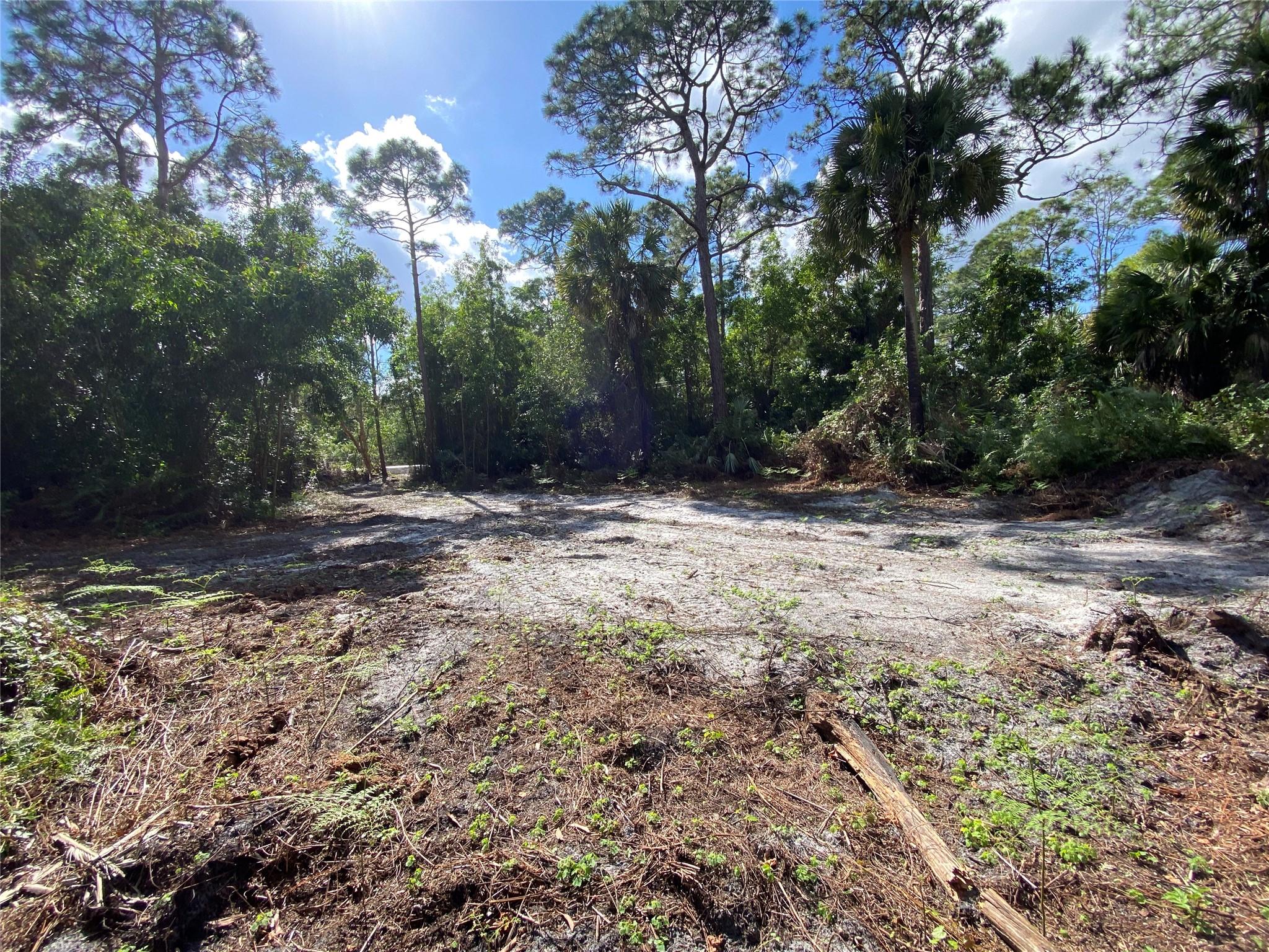 Acreage - Land