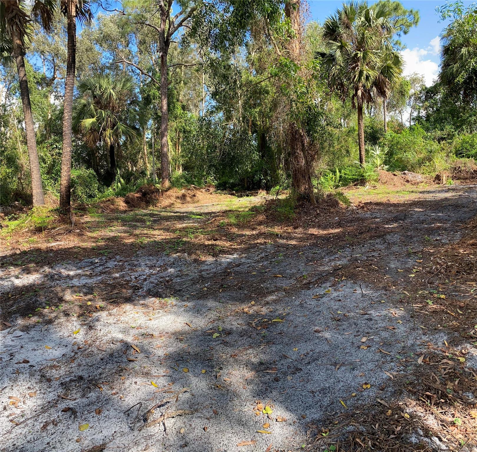 Acreage - Land