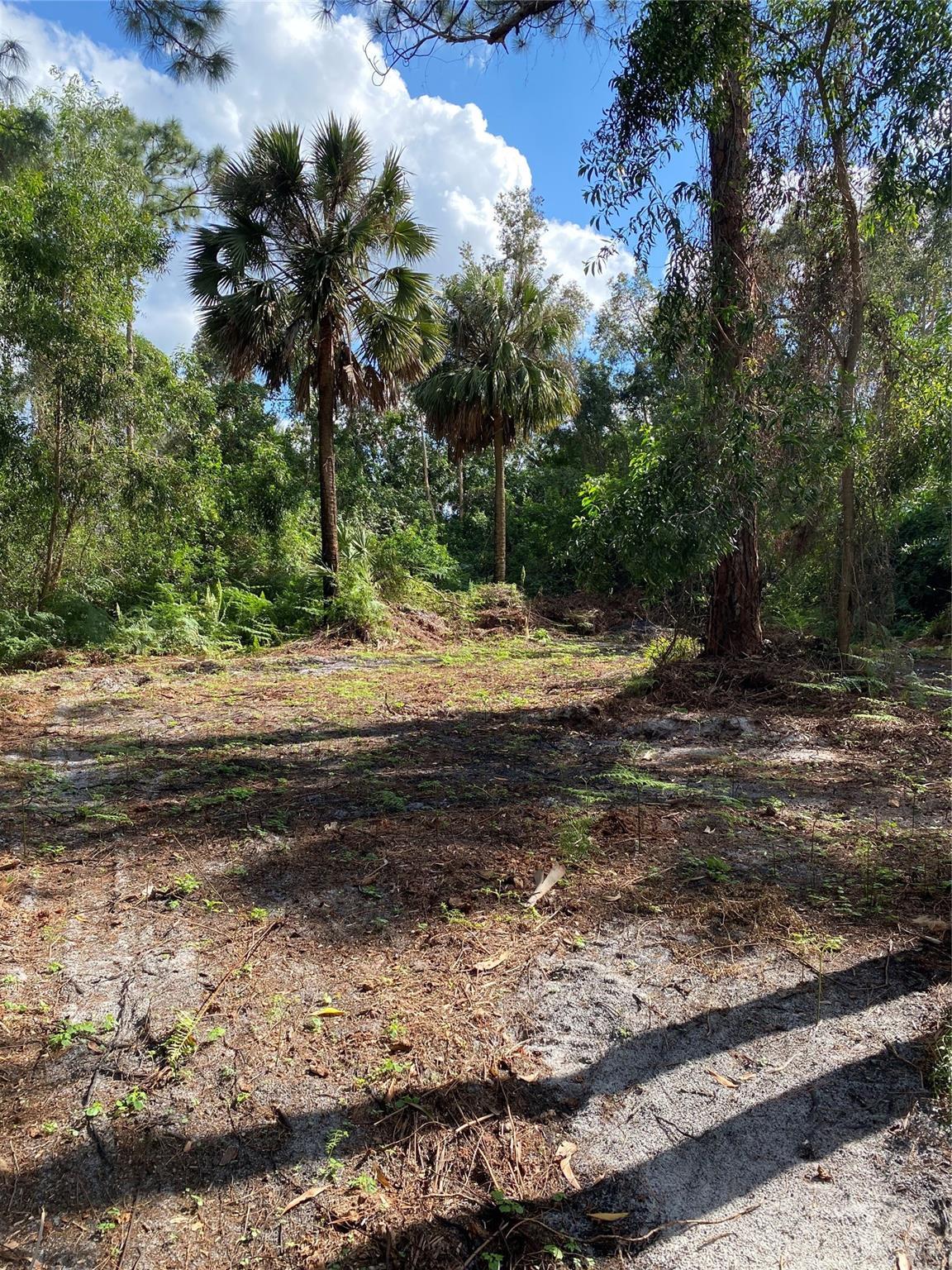 Acreage - Land