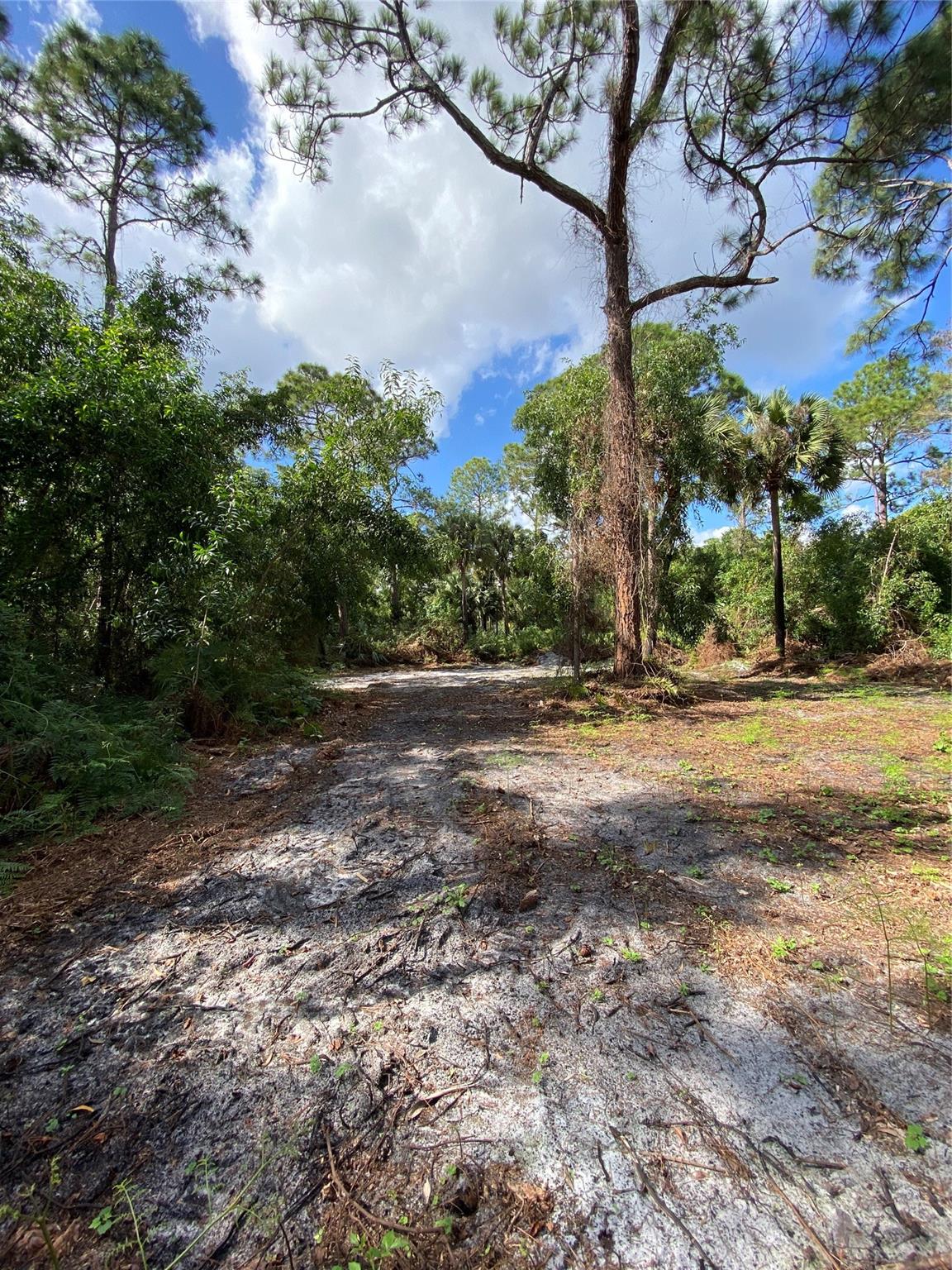 Acreage - Land